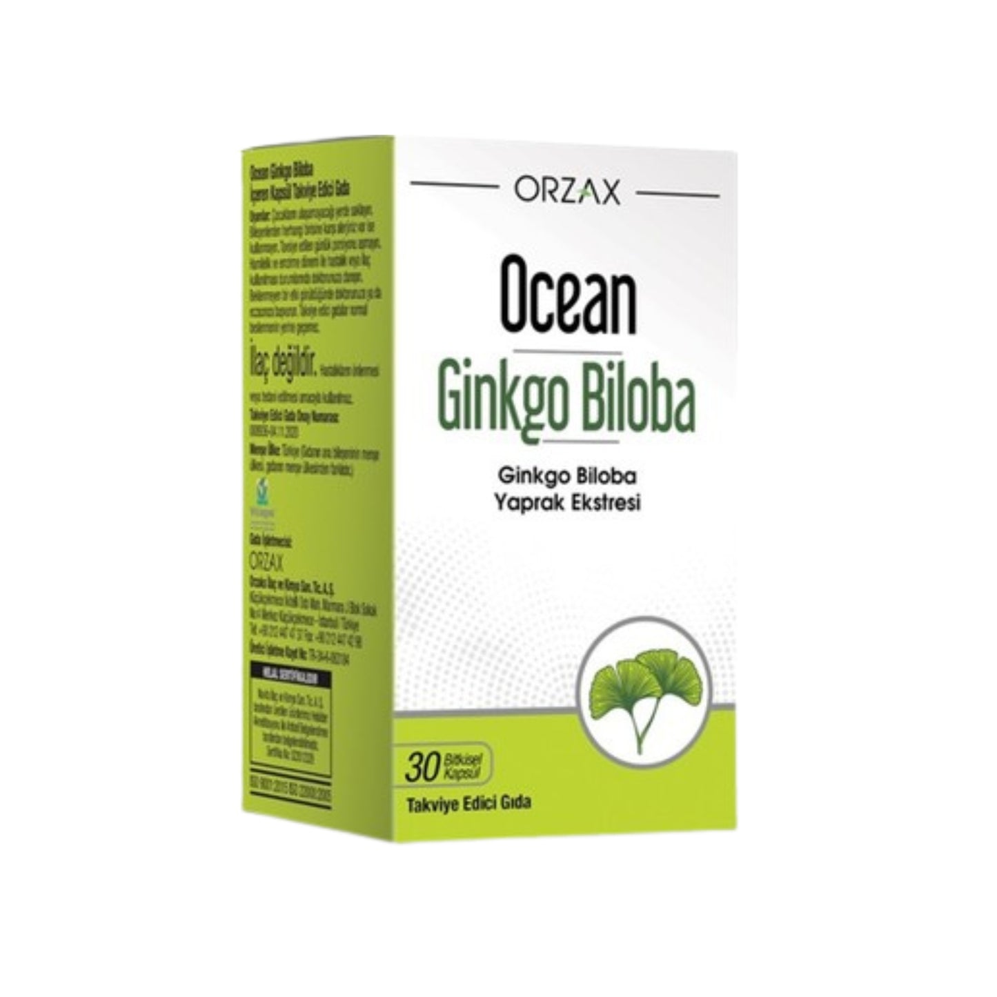 Ocean Ginkgo Biloba 30 Kapsül – Hafıza, Konsantrasyon ve Dolaşım Sistemi Desteği
